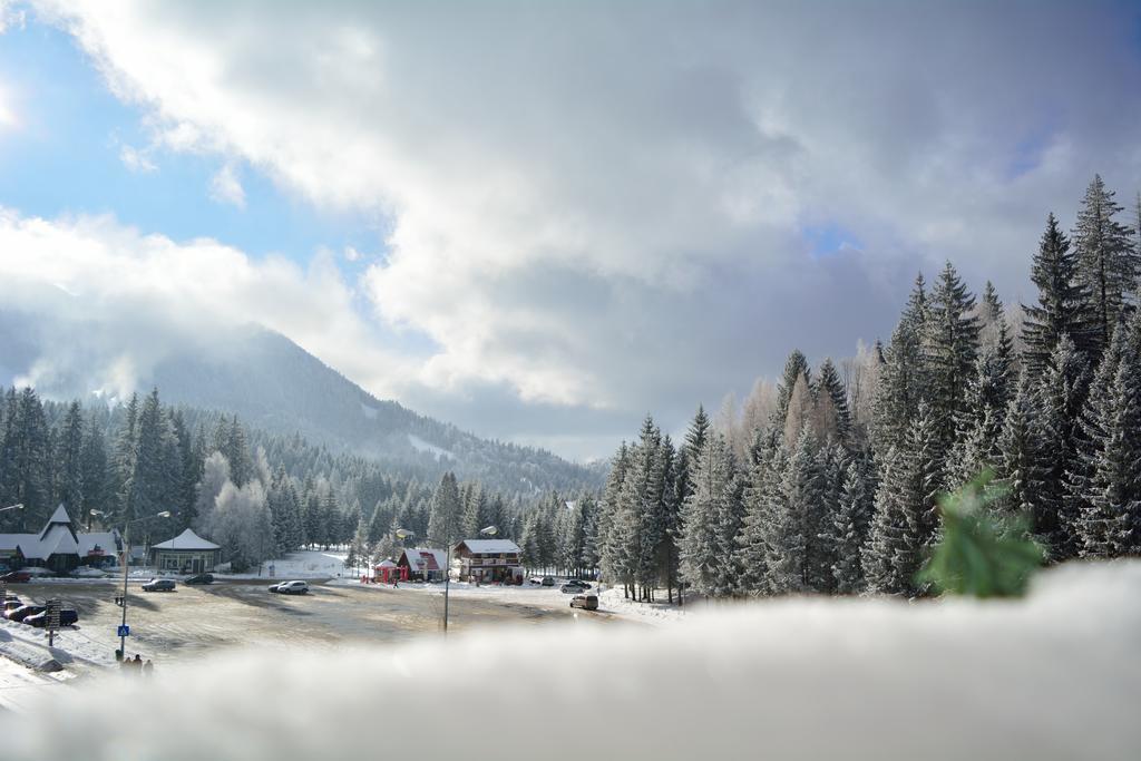 Casa Vlasin Poiana Brasov Exterior foto